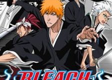 Bleach