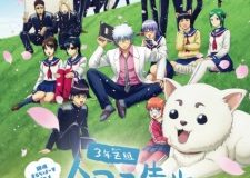 Gintama: 3-Z Ginpachi Sensei